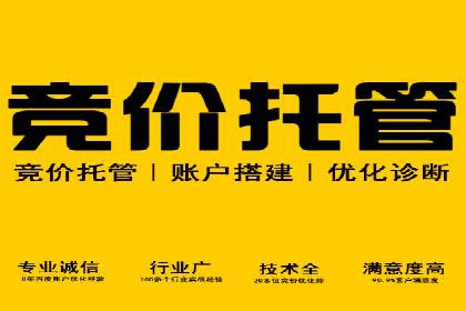 百度广告投放策略优化的经典案例